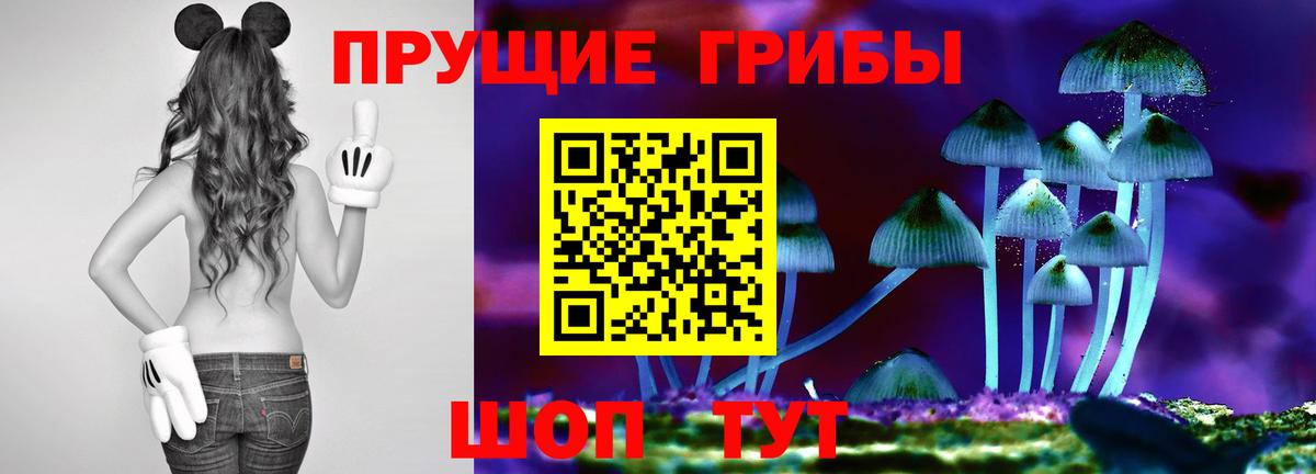 Псилоцибиновые грибы Magic Shrooms  цены   Балашиха  Вход с VPN 